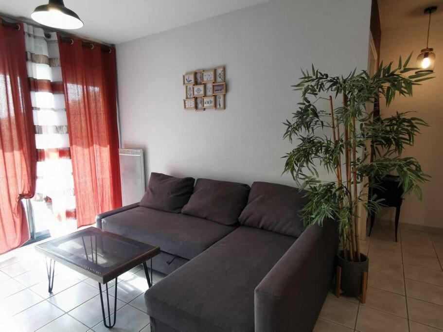 Le Mazette Yourhosthelper Narbonne